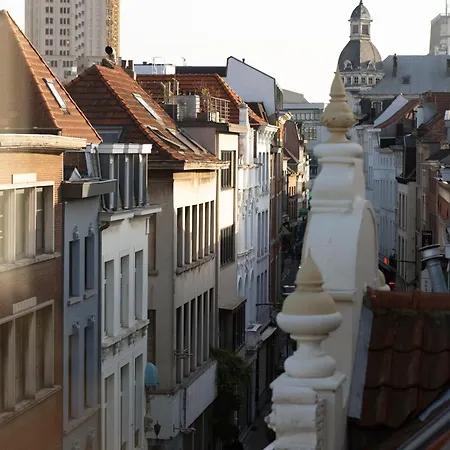 Galalith Antwerpia